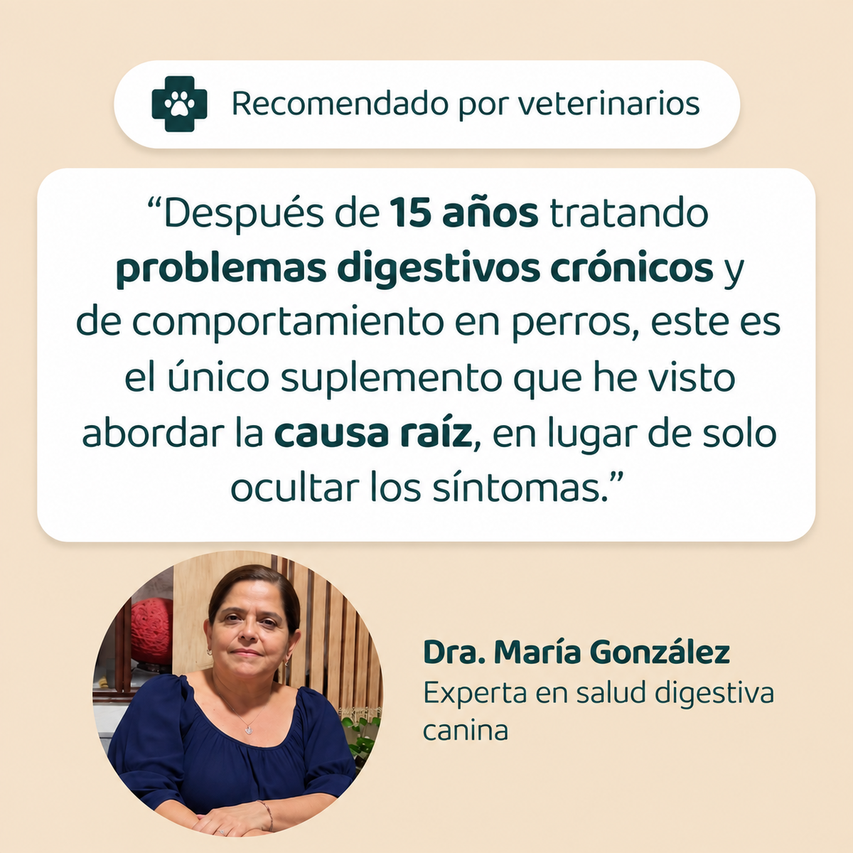 Gotas para perros con picazón