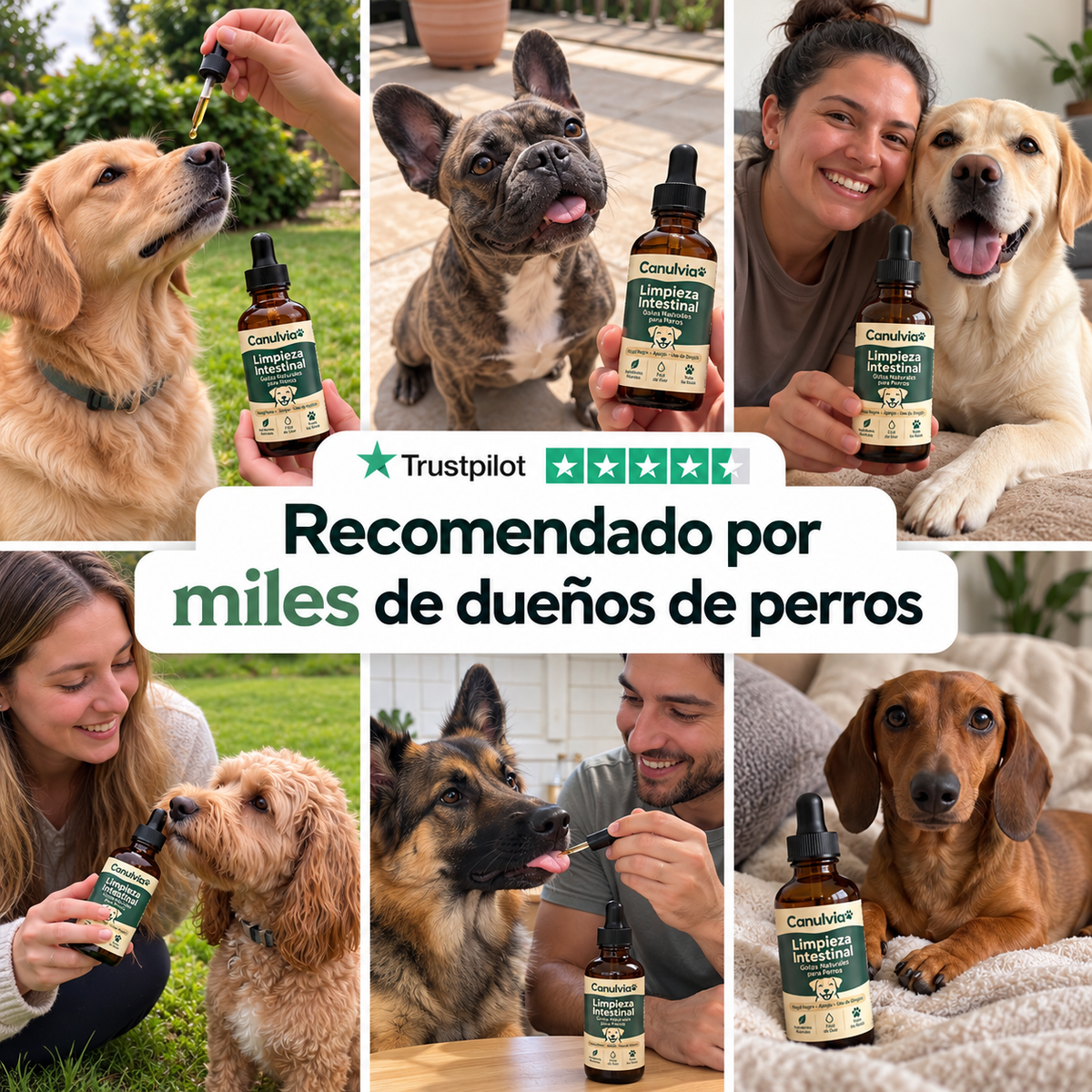 Gotas para perros con picazón