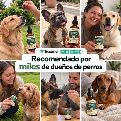 Gotas para perros con picazón