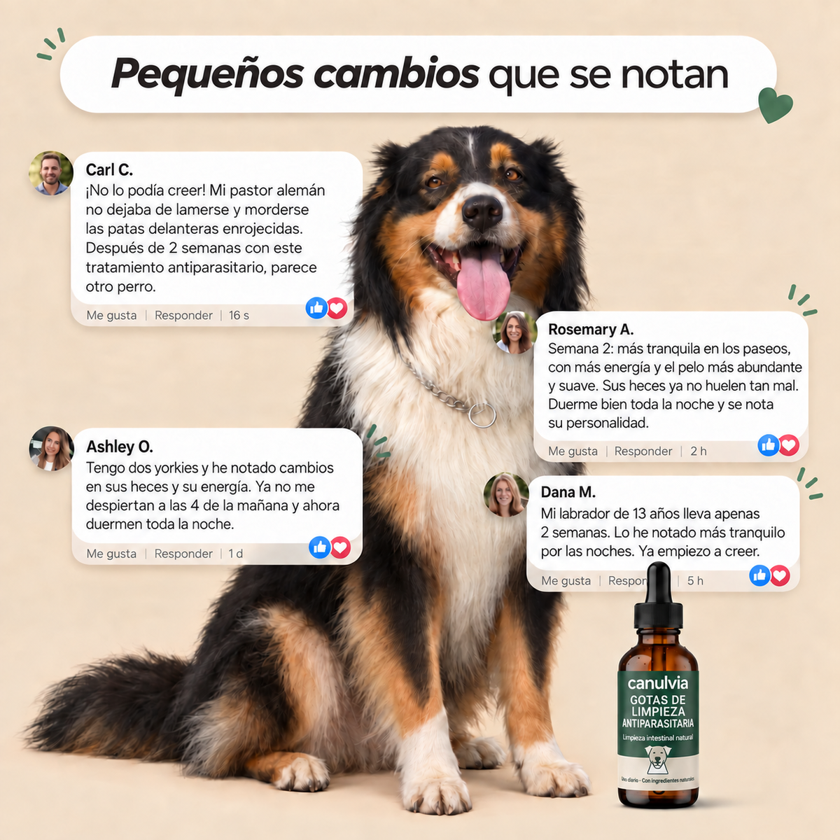 Gotas para perros con picazón