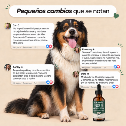 Gotas para perros con picazón